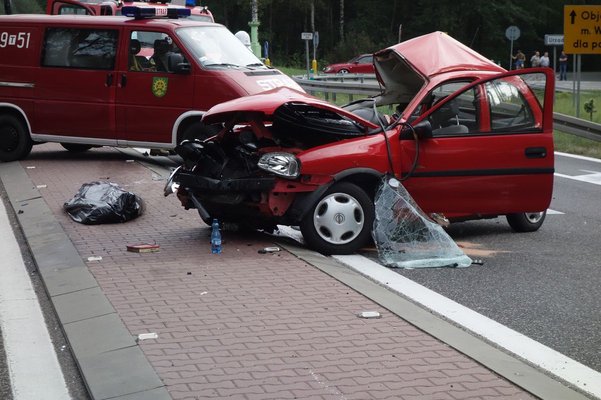 Śmiertelny wypadek w Rudzie Malenickiej (końskie)