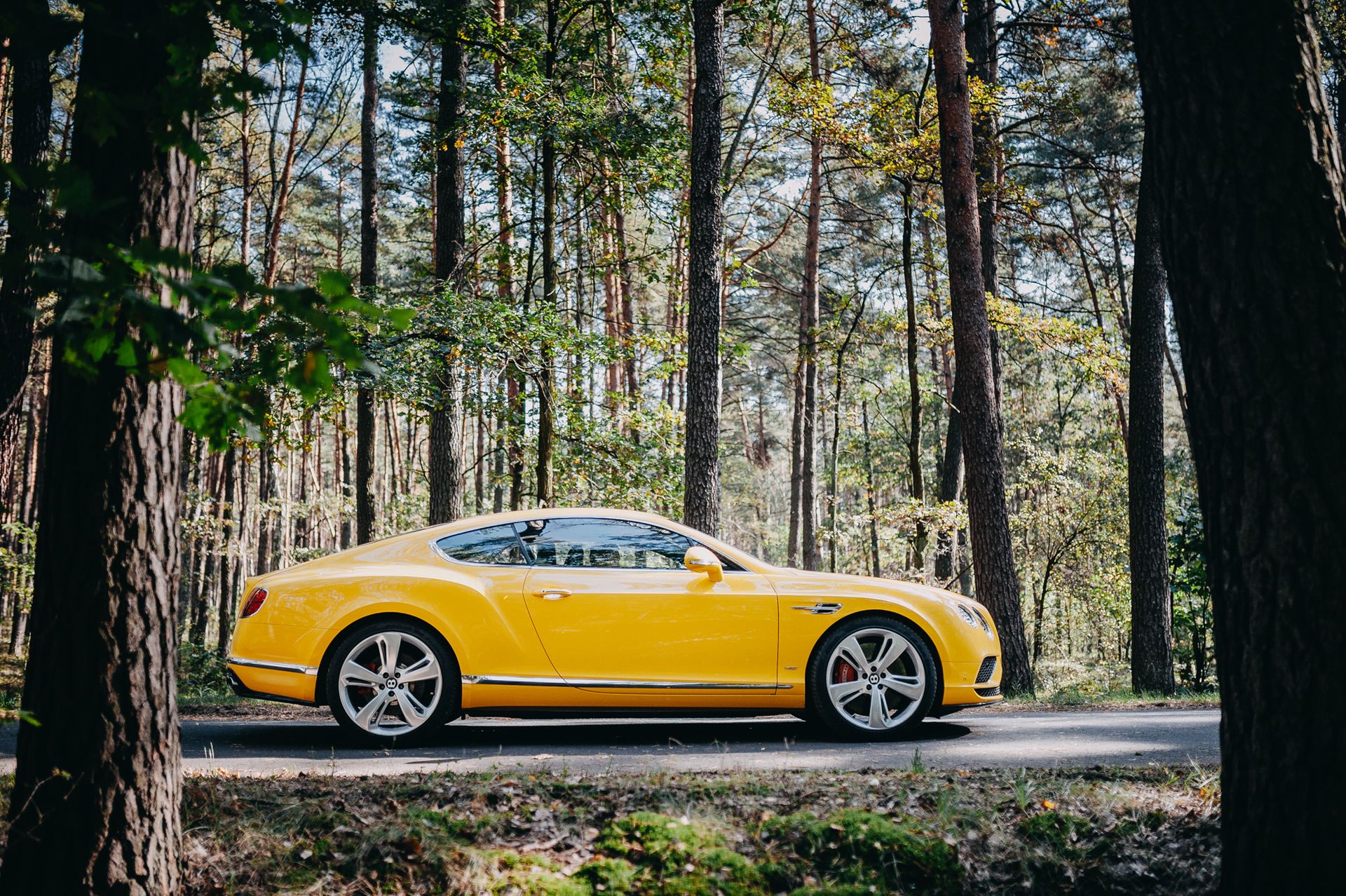 Bentley Continental GT V8 S (2017)