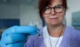 Kleszczowe zapalenie mózgu. Wzrost zachorowań w Polsce