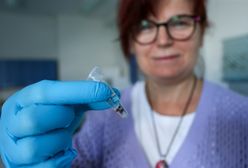Kleszczowe zapalenie mózgu. Wzrost zachorowań w Polsce