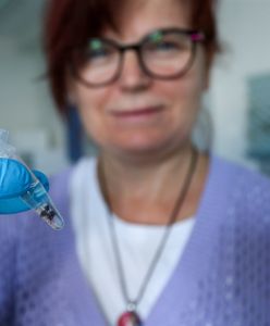 Kleszczowe zapalenie mózgu. Wzrost zachorowań w Polsce