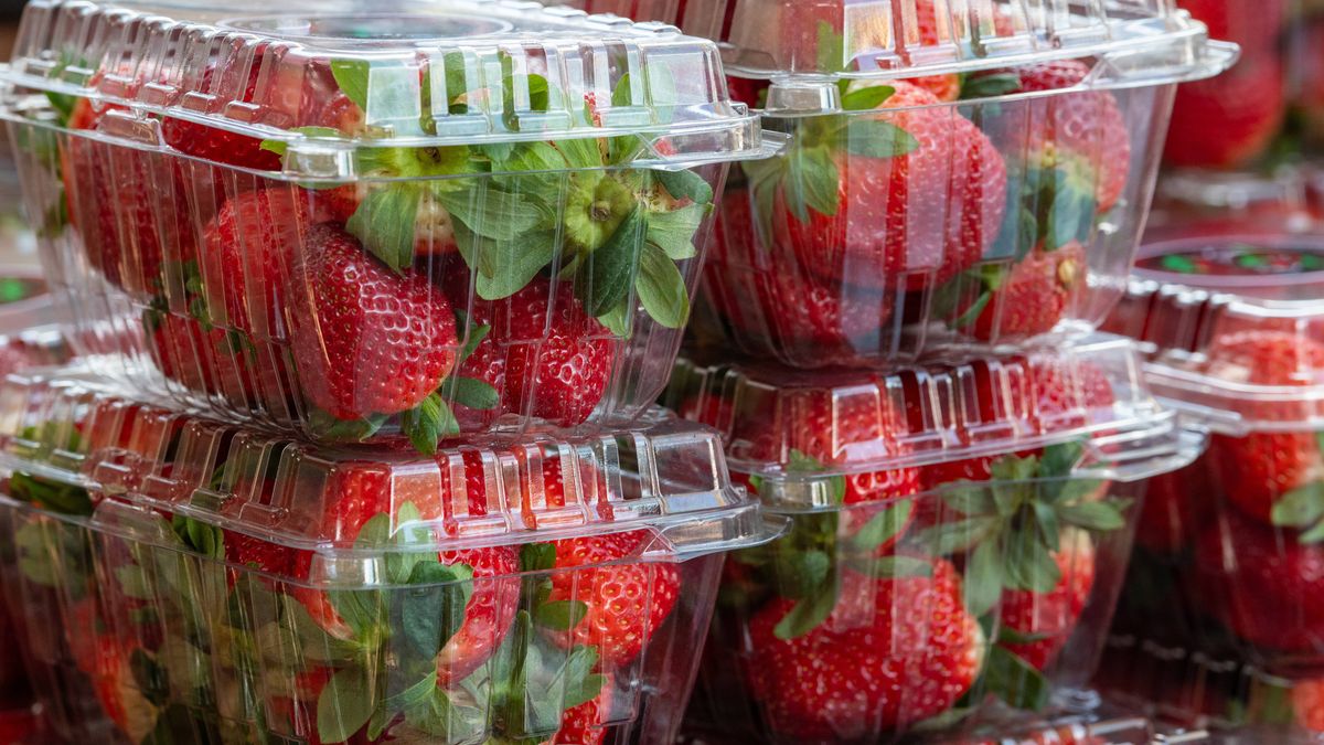 Truskawki w Carrefourze. Ekspert komentuje