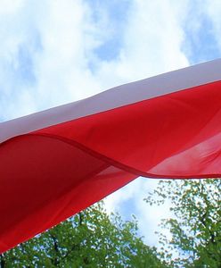 Elbląg. Kto wygrał? PKW podaje oficjalne wyniki wyborów na prezydenta miasta