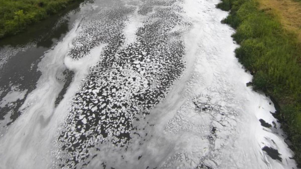 Biała piana nad Kanałem Łączańskim w okolicy Skawiny.