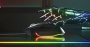 Podświetlana myszka. Przegląd ciekawych myszek RGB