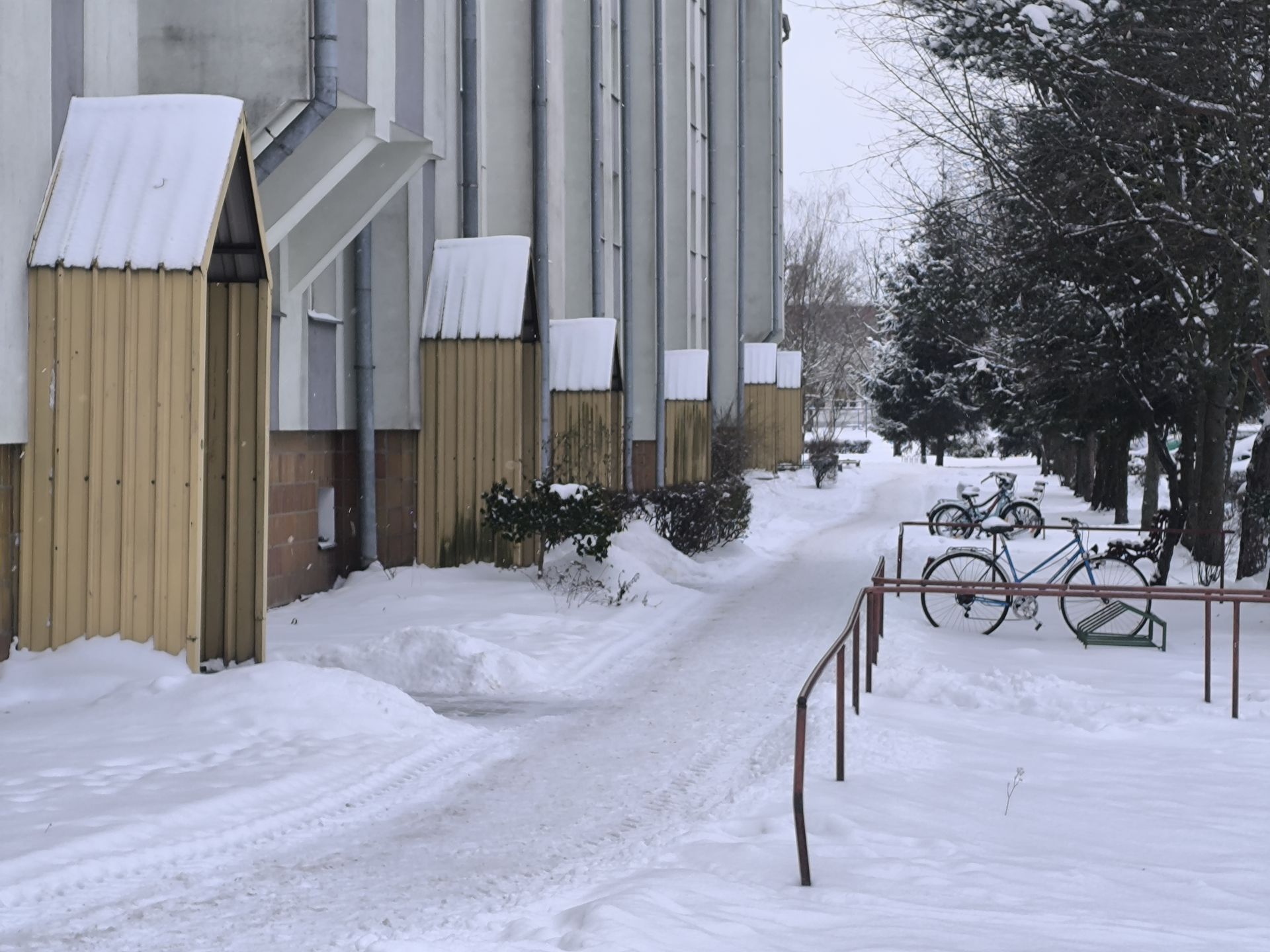 Sąsiedzi małżeństwa z Włodawy są wstrząśnięci śmiercią 