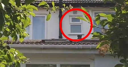 Mężczyzna znalazł w swoim domu sekretny pokój. Widać go było jedynie z zewnątrz