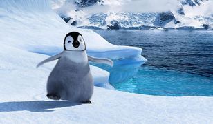 Happy Feet: Tupot małych stóp - oglądaj online w TV - fabuła, bohaterowie, gdzie obejrzeć