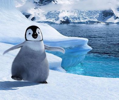 Happy Feet: Tupot małych stóp - oglądaj online w TV - fabuła, bohaterowie, gdzie obejrzeć