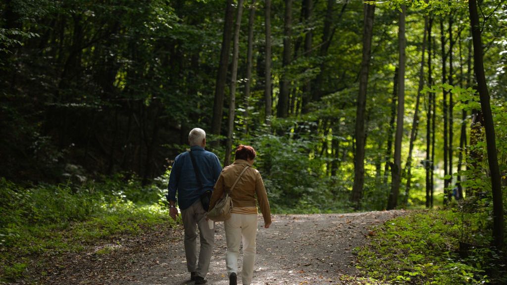 Maseczki w lesie. Czy są obowiązkowe?