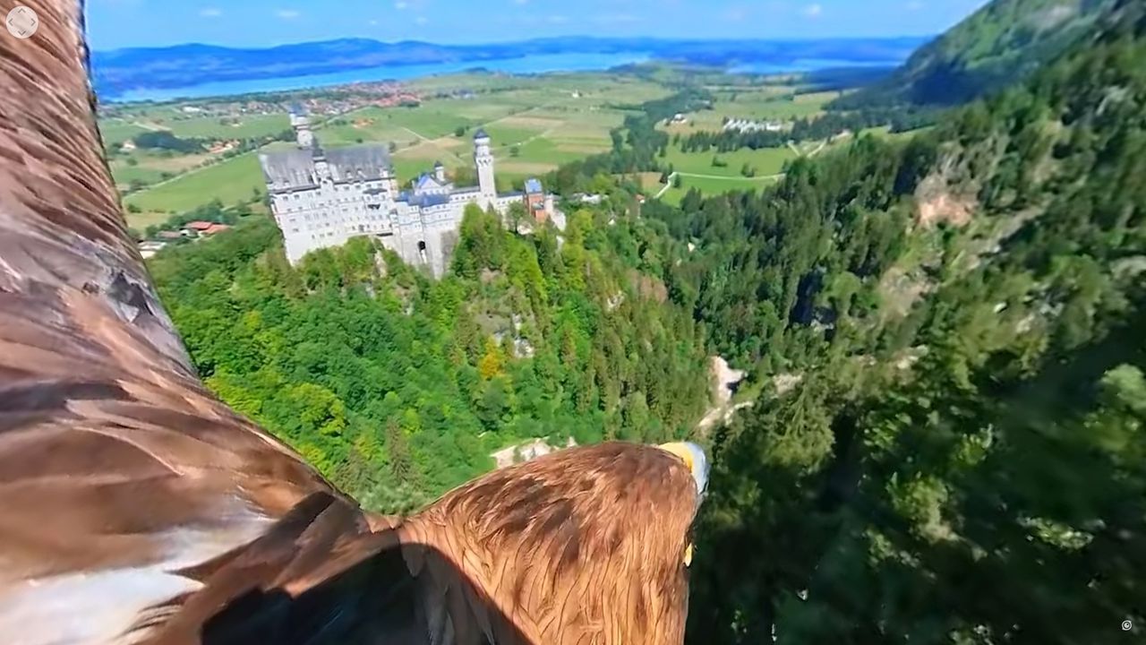 Przyczepili kamerę do orła, który latał wokół zamku z bajki. To nagranie musisz zobaczyć