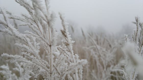 Albumy MECEK.KOM wędrują do... [galeria] 3