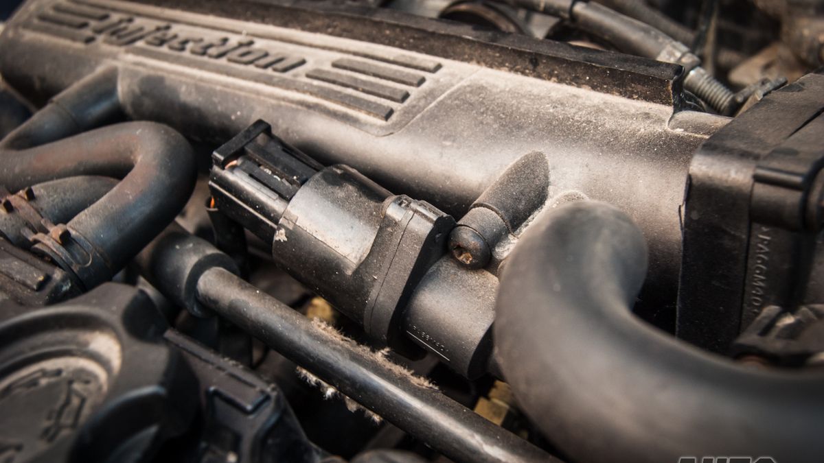 Zdjęcie ilustracyjne do artykułu