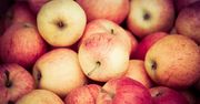 Nie możesz dostać antonówki? Te polskie jabłka są równie smaczne i idealne do przechowywania