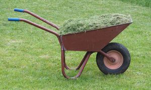 Gdzie wyrzucić skoszoną trawę? Wiele osób popełnia ten błąd