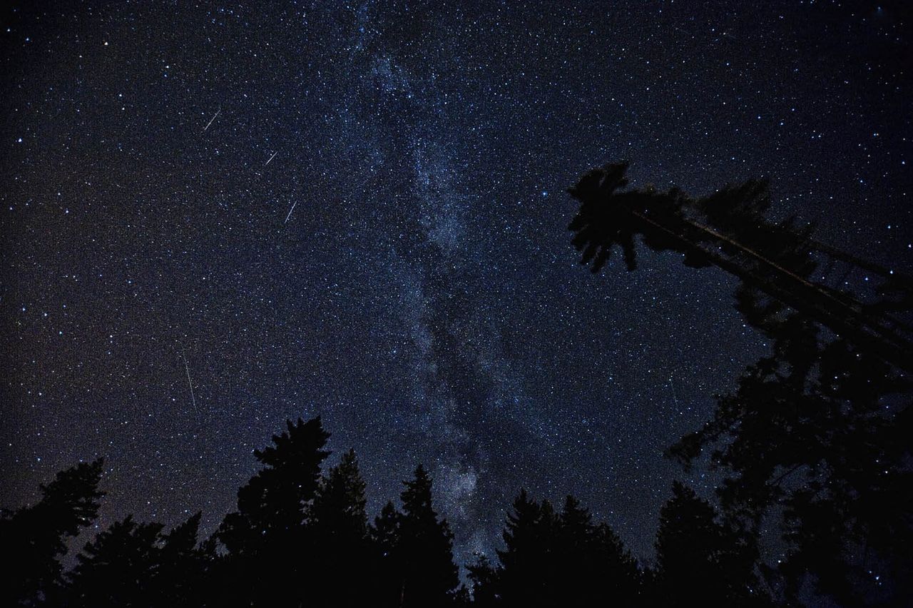 Leonidy 2022. Nie przegap "deszczu meteorów"