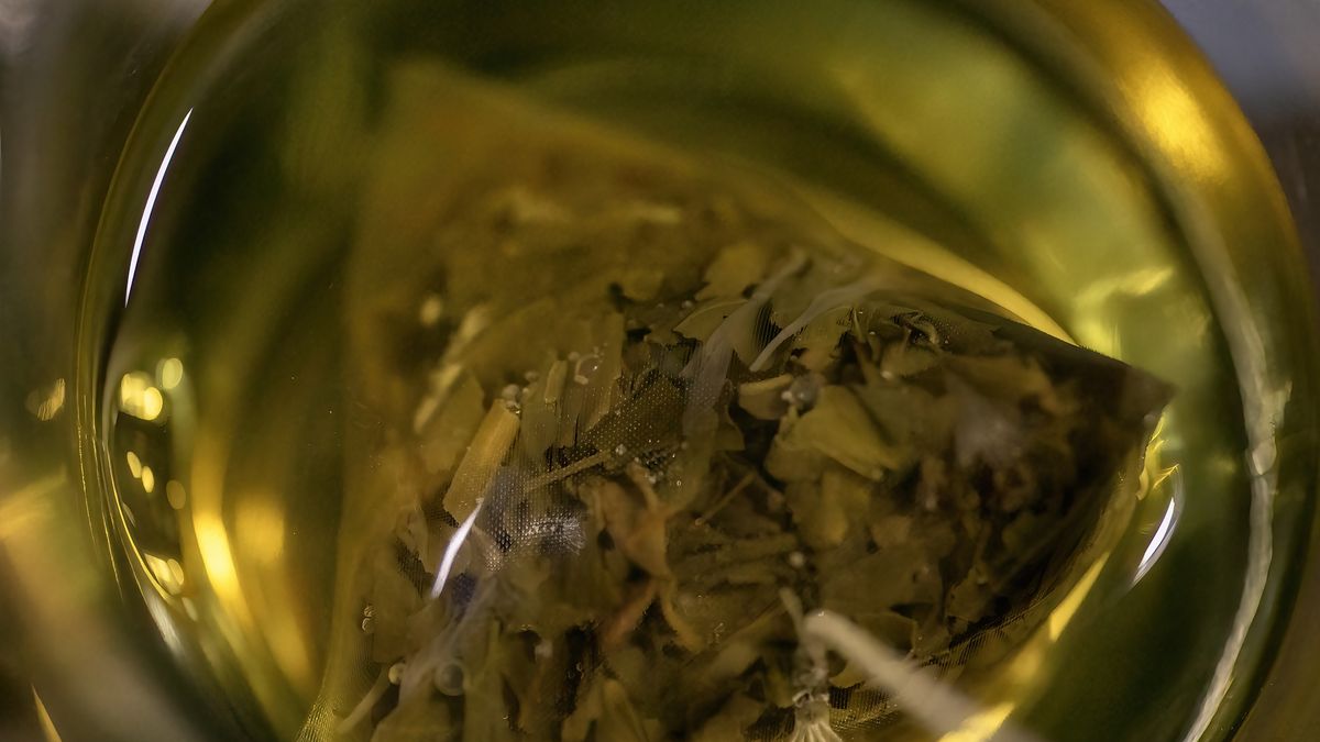 Green Tea Bag
Ali Majdfar