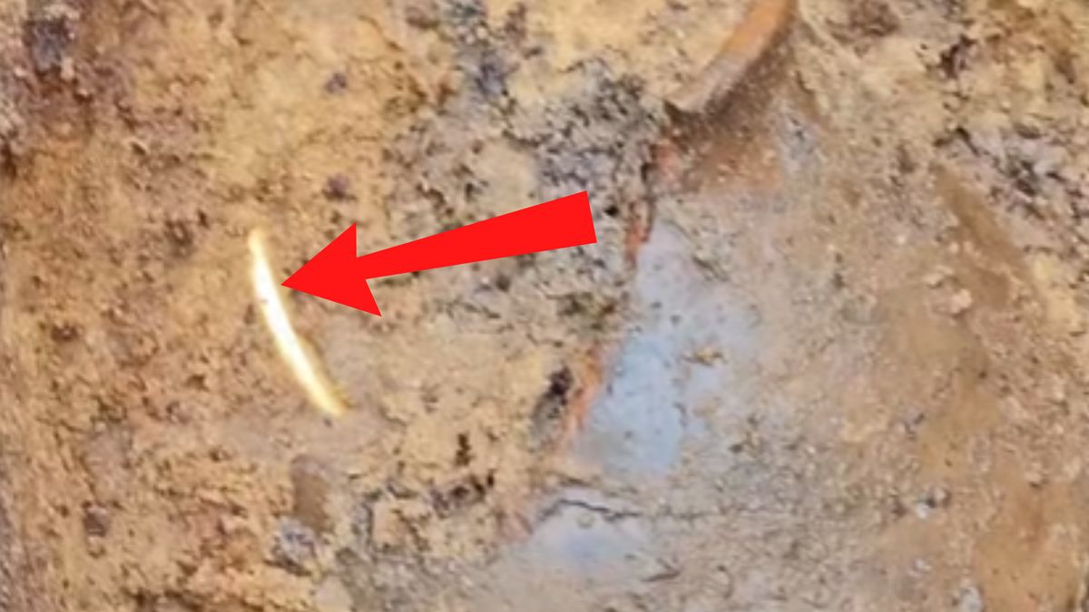 Niezwykłe odkrycie poszukiwaczy z Kalisza.