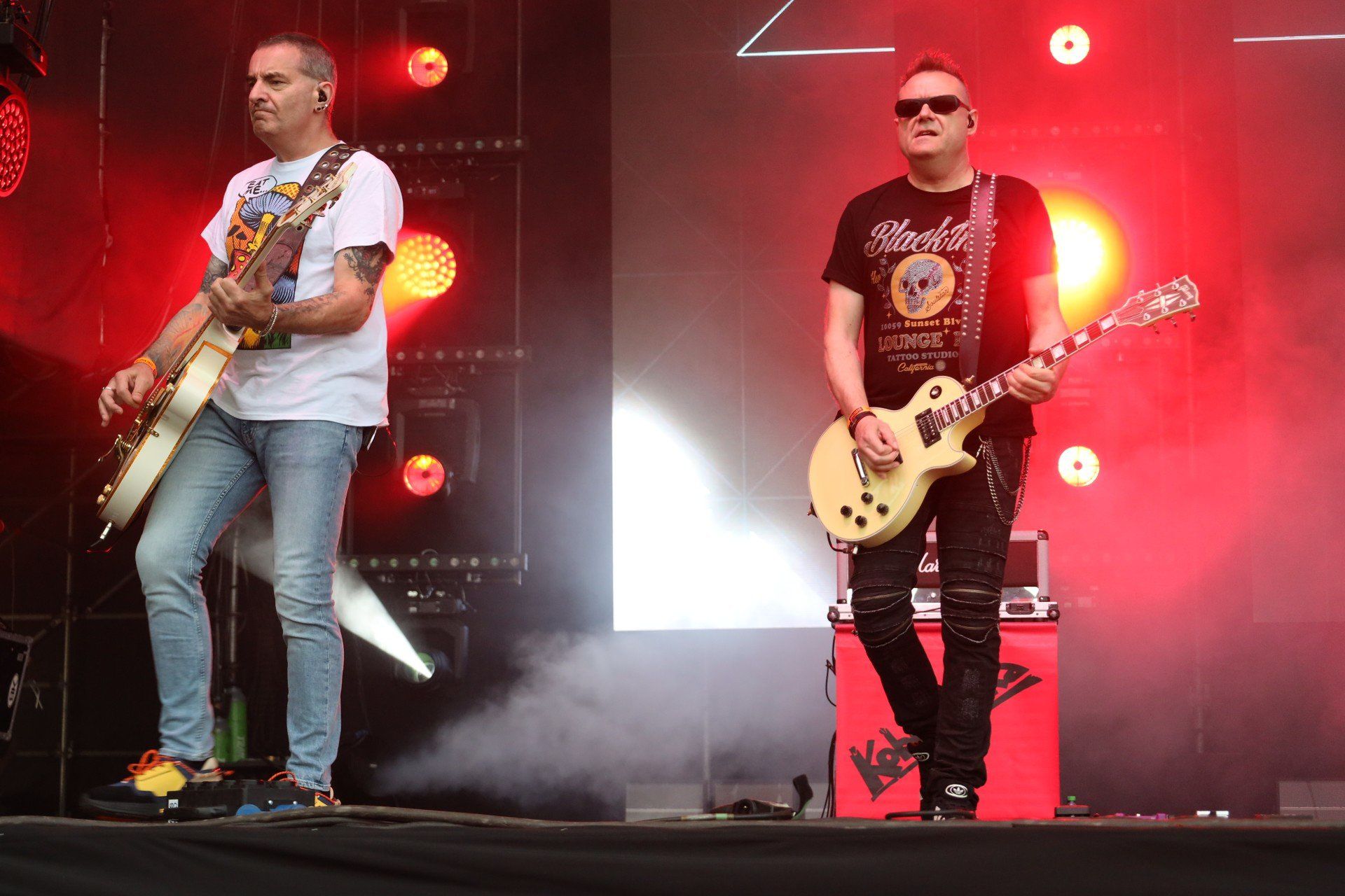 Koncert odbył się z okazji 40-lecia istnienia zespołu Kobranocka