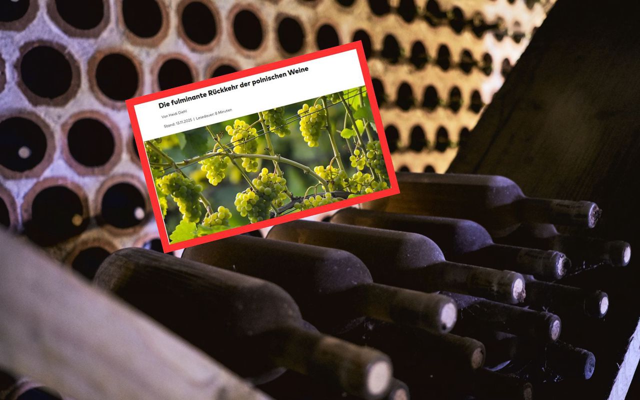 Niemcy zachwyceni produktami z Polski. "Nie muszą już ukrywać"