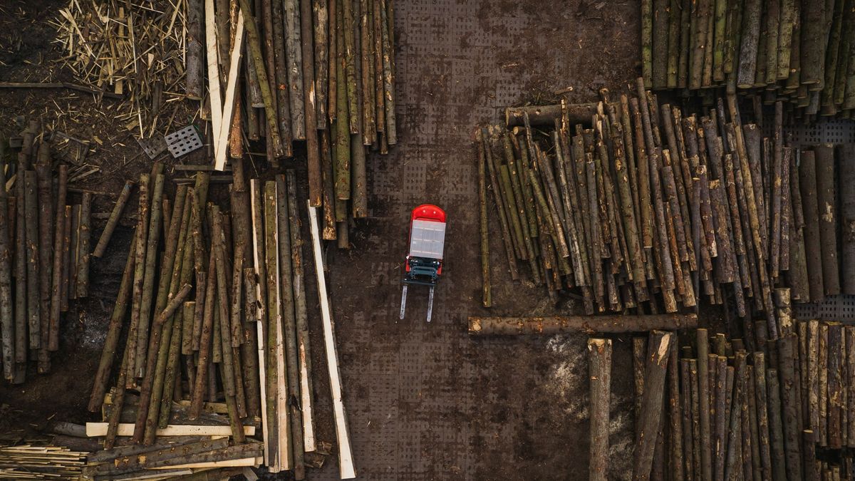 Branża meblarska ma problemy. Powodem wysokie ceny drewna 