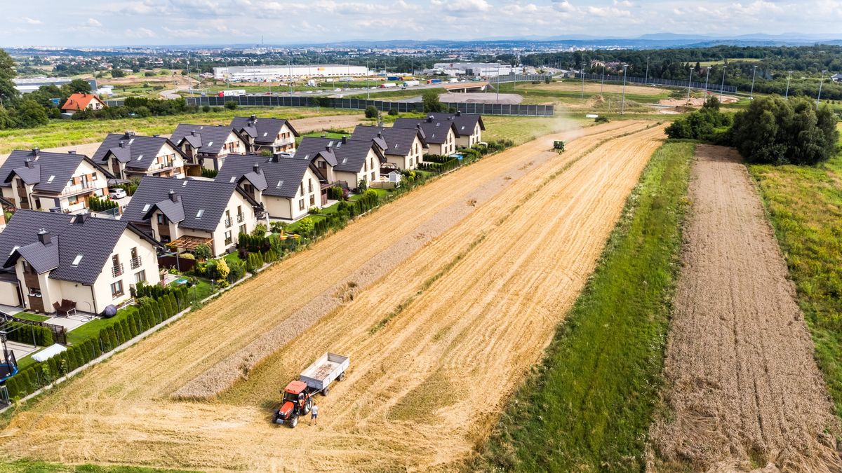 żniwa, kombajn, kraków, lato, pola, rola, l, osiedle, domy, zboża, zboże, krajobraz, rolnictwa, niebo, obszarów wiejskich, charakter, gras, farma, countryside, hayfield, kraj, górka, kraina, drzew, droga, ziemia uprawna, anglia