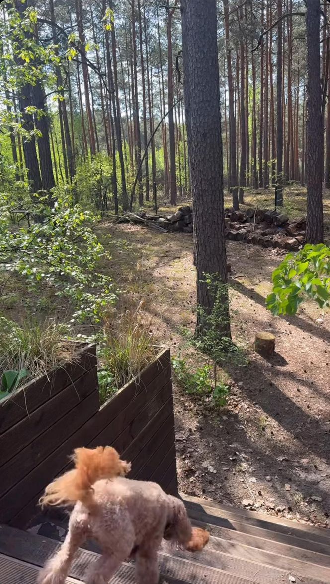 Wyjście z domu Julii Wieniawy