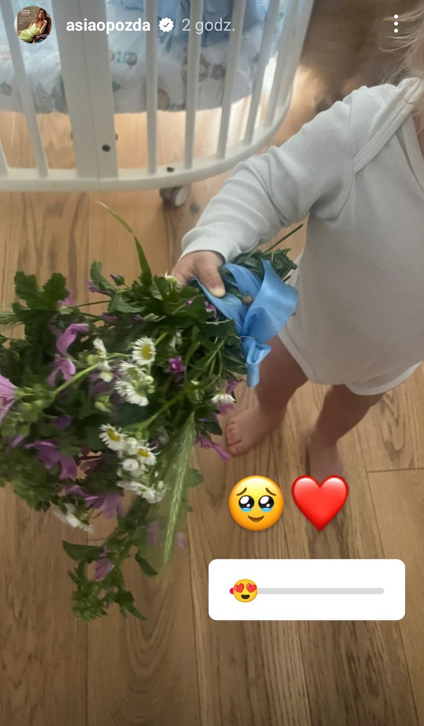 Joanna Opozda na Instagramie