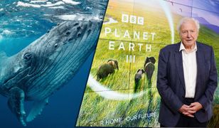 "Planeta Ziemia III" BBC. Legendarna seria powraca. Czy da nam jeszcze nadzieję?