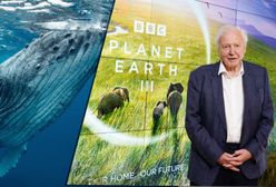 "Planeta Ziemia III" BBC. Legendarna seria powraca. Czy da nam jeszcze nadzieję?