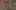 326978334766950679