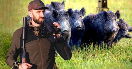 Marcin Możdzonek: Nie można pomylić człowieka z dzikiem. To tylko linia obrony