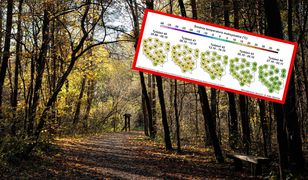 Najnowsza prognoza pogody na październik. Jakie będą temperatury?