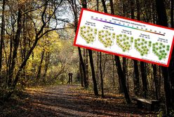 Najnowsza prognoza pogody na październik. Jakie będą temperatury?