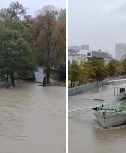 Już 9 metrów na Dunaju. Wzrasta poziom wód w Dunaju