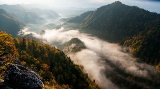 Najpiękniejsze zakątki polskich parków narodowych. Zachwycająca przyroda z dala od miast