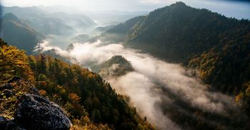 Najpiękniejsze zakątki polskich parków narodowych. Zachwycająca przyroda z dala od miast