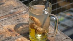 Ta przyprawa wymiata cholesterol z krwi. Wspomaga trawienie i zmniejsza stan zapalny