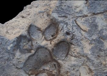 Archeolodzy przecierali oczy. W ruinach sprzed 4 tys. lat znaleźli coś  niespodziewanego
