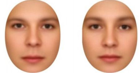 Mężczyzna czy kobieta? Mózg identyfikuje płeć na podstawie subtelnych różnic w odcieniu skóry
