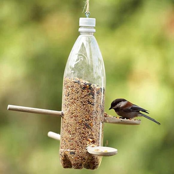 Plastic Bottle Bird Feeder