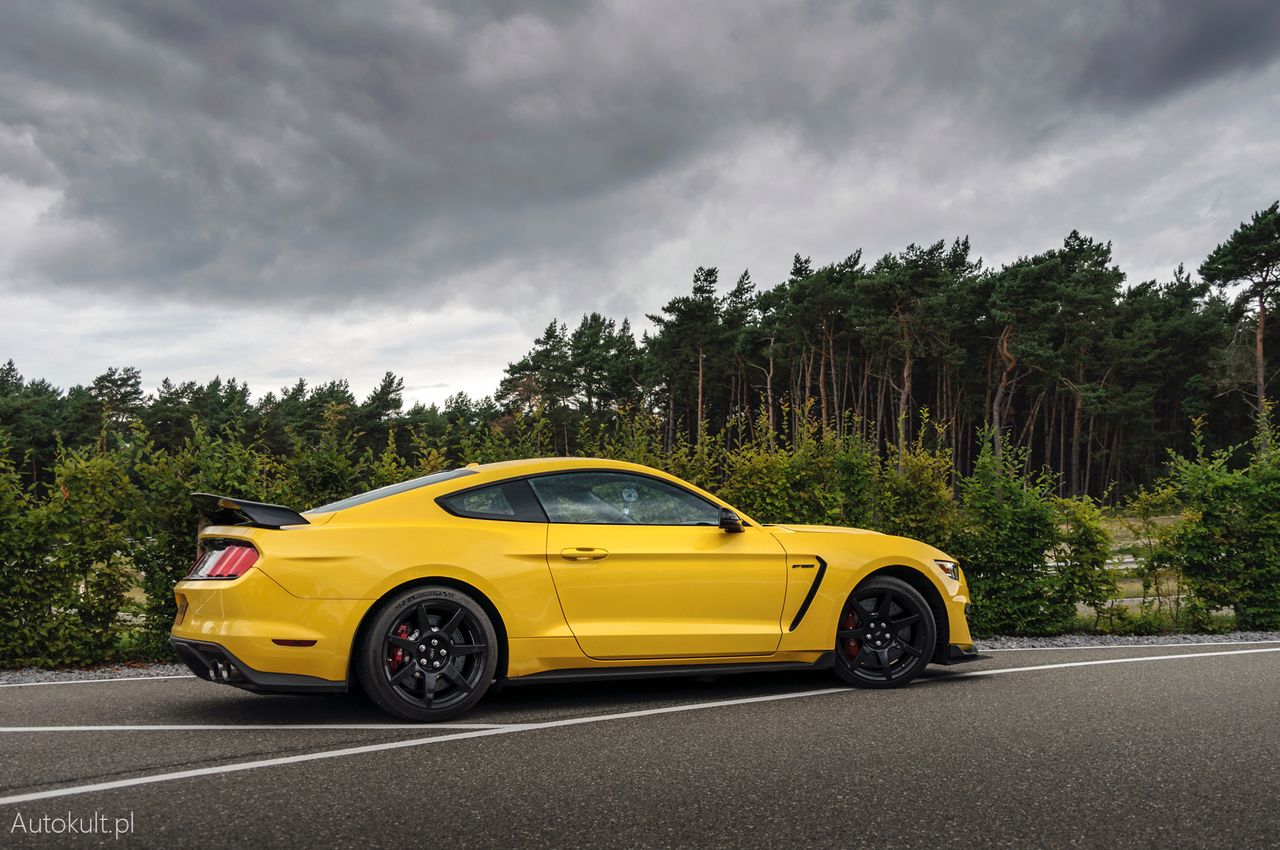 Ford Mustang Shelby GT350R - o Mount Everest, kanapce i V8 z piekła rodem