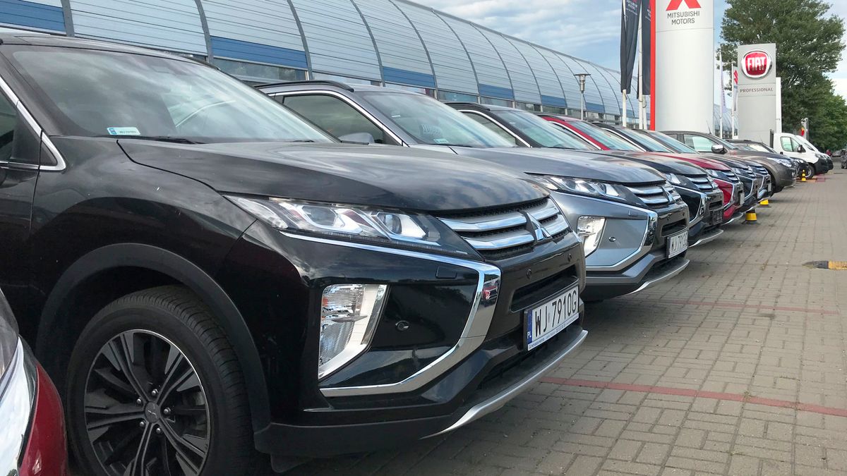 Zdjęcie ilustracyjne do artykułu