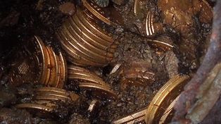 Wyszli na spacer z psem. Wrócili bogatsi o 10 mln dol.