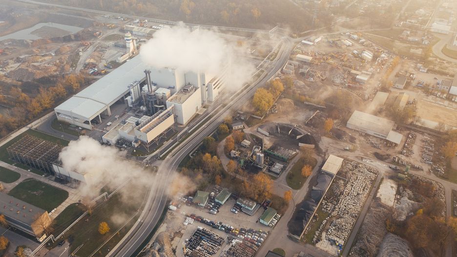 Katowice. Humaniści z Uniwersytetu Śląskiego chcą uczyć o zmianach klimatu.