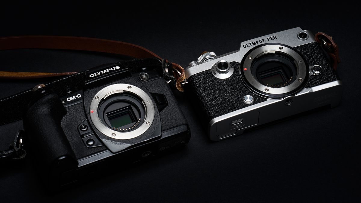 Jak działa autofokus aparatu? Najważniejsze co powinieneś wiedzieć w praktyce [poradnik] 1