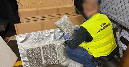 Panele LED okazały się przykrywką. Blisko 90 kg narkotyków przechwycone na lotnisku