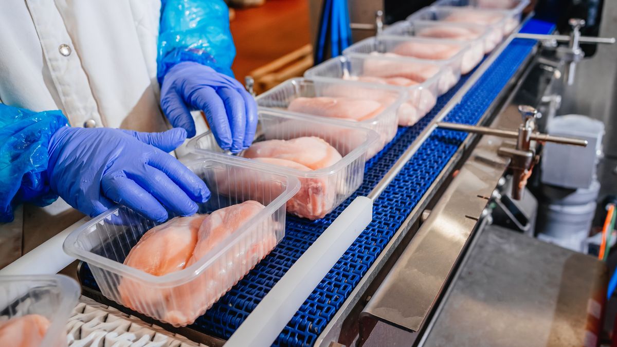 Polski drób rusza na podbój Indonezji