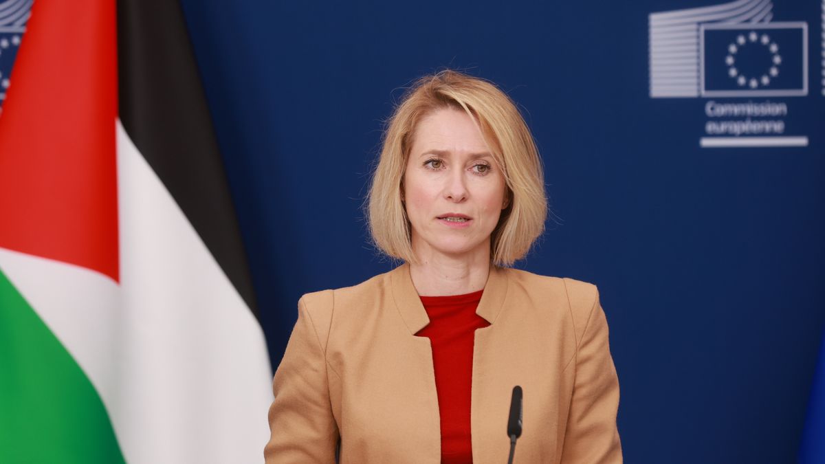 Ad Hoc Liaison Committee ministerial meeting in Brussels
epa12902788 High Representative of the European Union for Foreign Affairs and Security Policy, Kaja Kallas attends a press conference ahead of the Ad Hoc Liaison Committee (AHLC) Ministerial Meeting in Brussels, Belgium, 20 April 2026. The committee brings together international donors to coordinate financial support for the Palestinian Authority and discuss economic and institutional developments in the Palestinian territories.  EPA/OLIVIER HOSLET 
Dostawca: PAP/EPA.
OLIVIER HOSLET
Palestine-European Union relations, European Union's top diplomat, EU, Palestinian, Global Alliance, Two-State Solution, Ad Hoc Liaison Committee, AHLC, Palestinian Authority