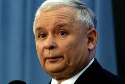 PiS traci w sondażach. PO dosłownie depcze Kaczyńskiemu po piętach